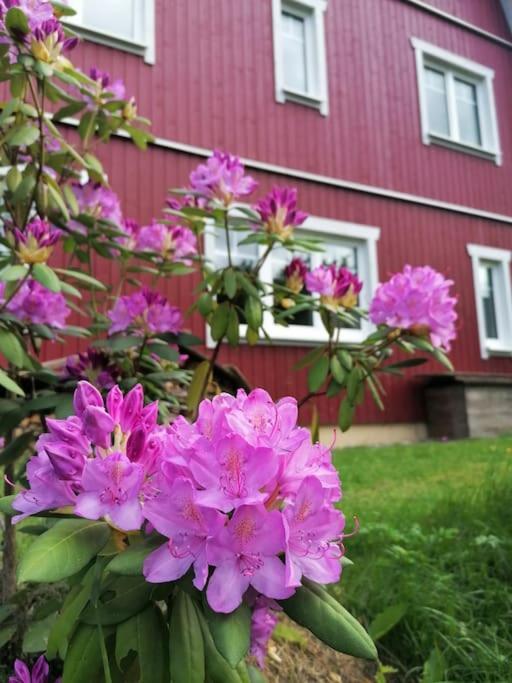 Haus Gruenfels Apartment Murau Kültér fotó