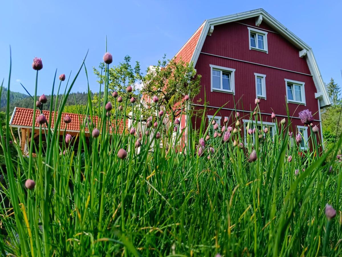 Haus Gruenfels Apartment Murau Kültér fotó