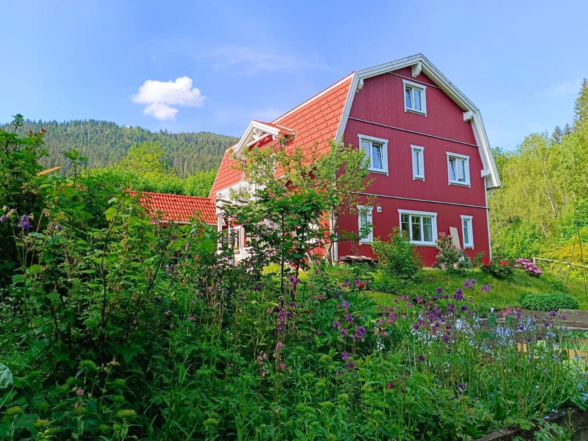 Haus Gruenfels Apartment Murau Kültér fotó
