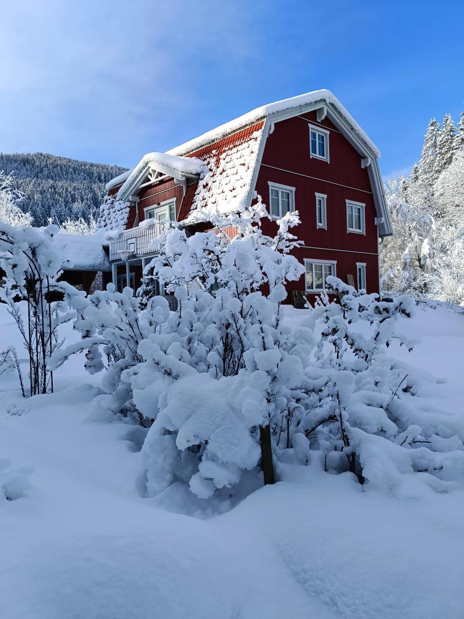 Haus Gruenfels Apartment Murau Kültér fotó